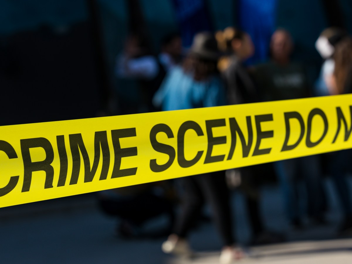 The Murmuring Shadows